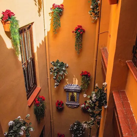 Atico Con Terraza En La Goleta